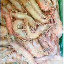 Frozen Sea Shrimp Sand Shrimp